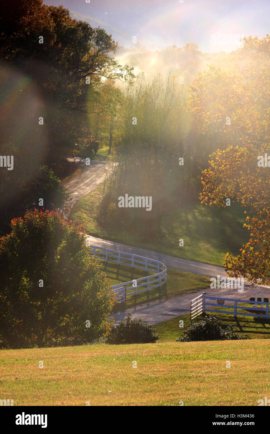 Route de campagne en Virginie rurale, États-Unis, avec des arbres changeant de couleurs en automne Banque D'Images