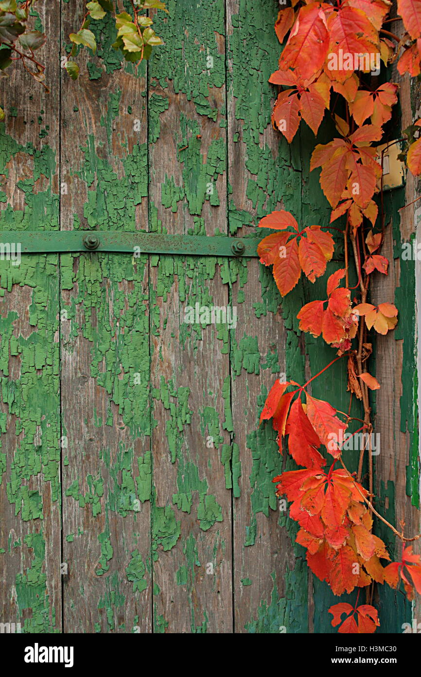 Vintage porte et les feuilles d'automne Banque D'Images