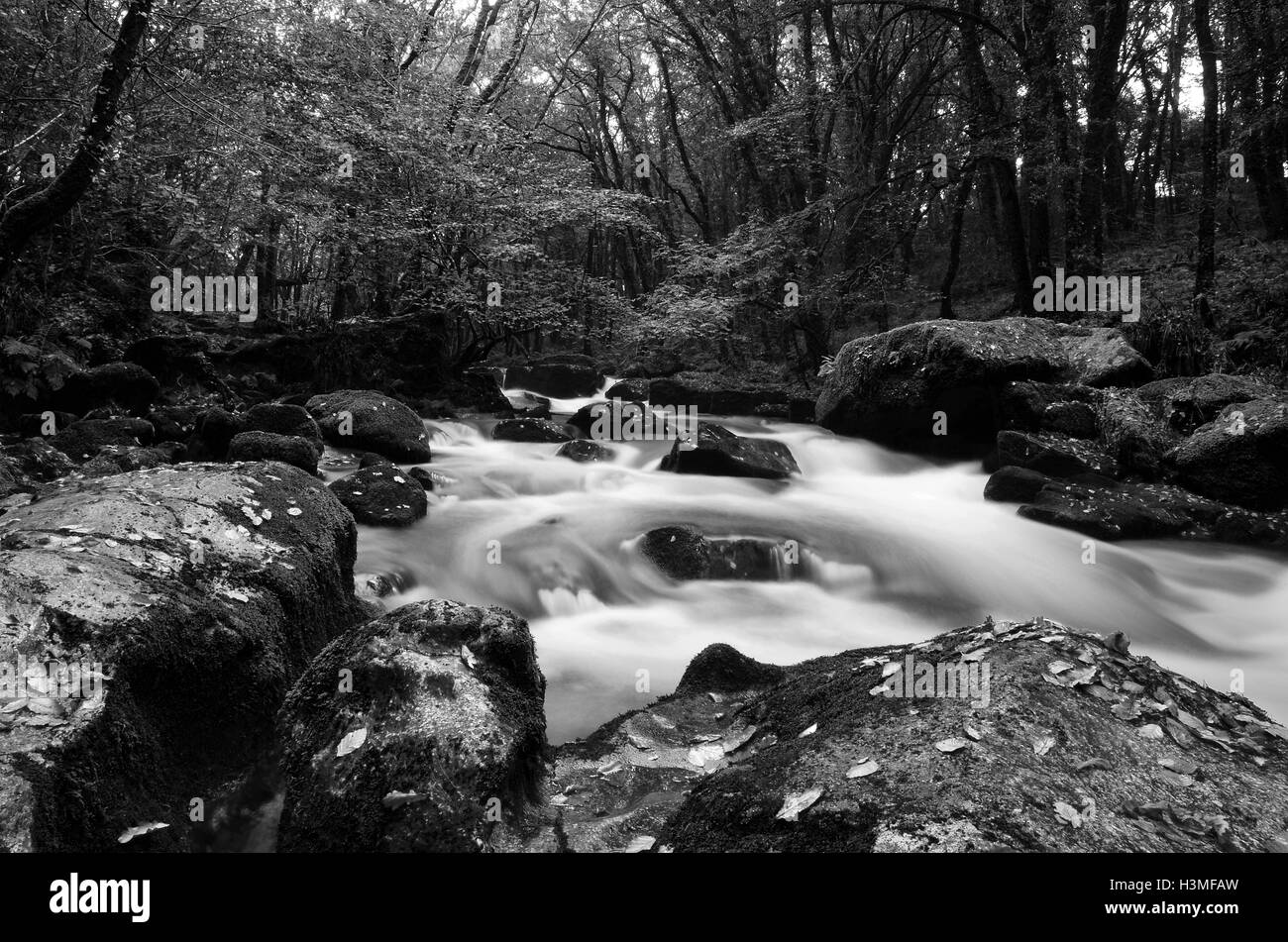 Goliatha Falls Banque D'Images