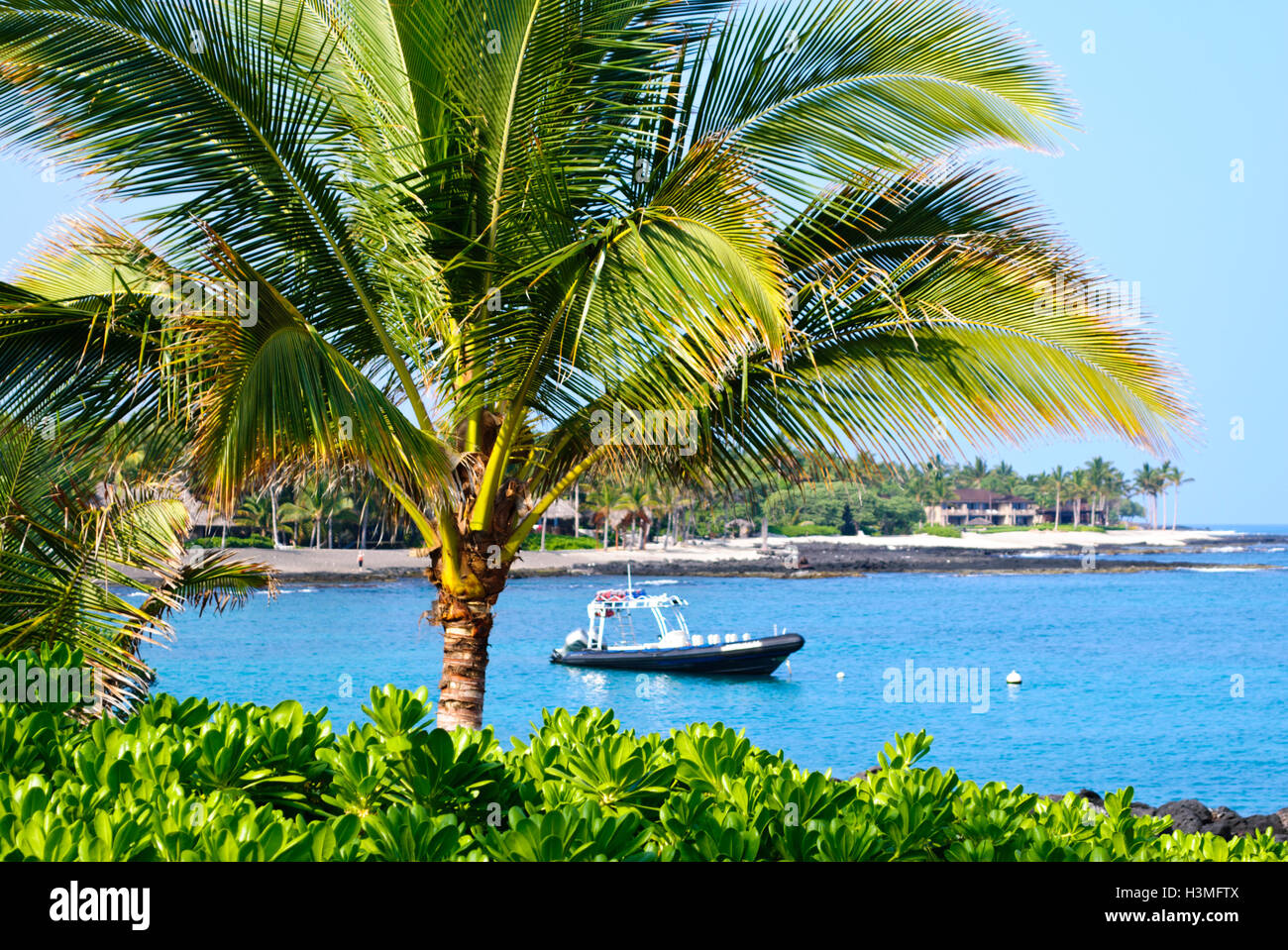 Une petite baie sur la côte de Kona, Hawaii USA Banque D'Images