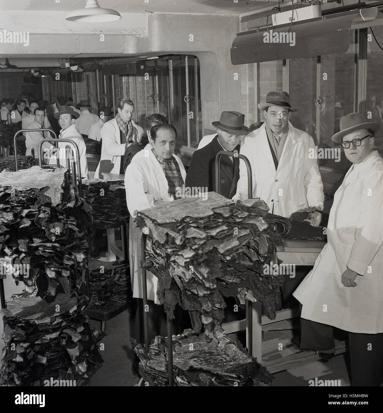 Années 1950, historiques, faire un manteau de fourrure de vison. L'image montre les gestionnaires et les travailleurs en blouse blanche - certains port d'un chapeau - à l'intérieur d'un manteau de fourrure de vison factory, Londres, Angleterre. Banque D'Images