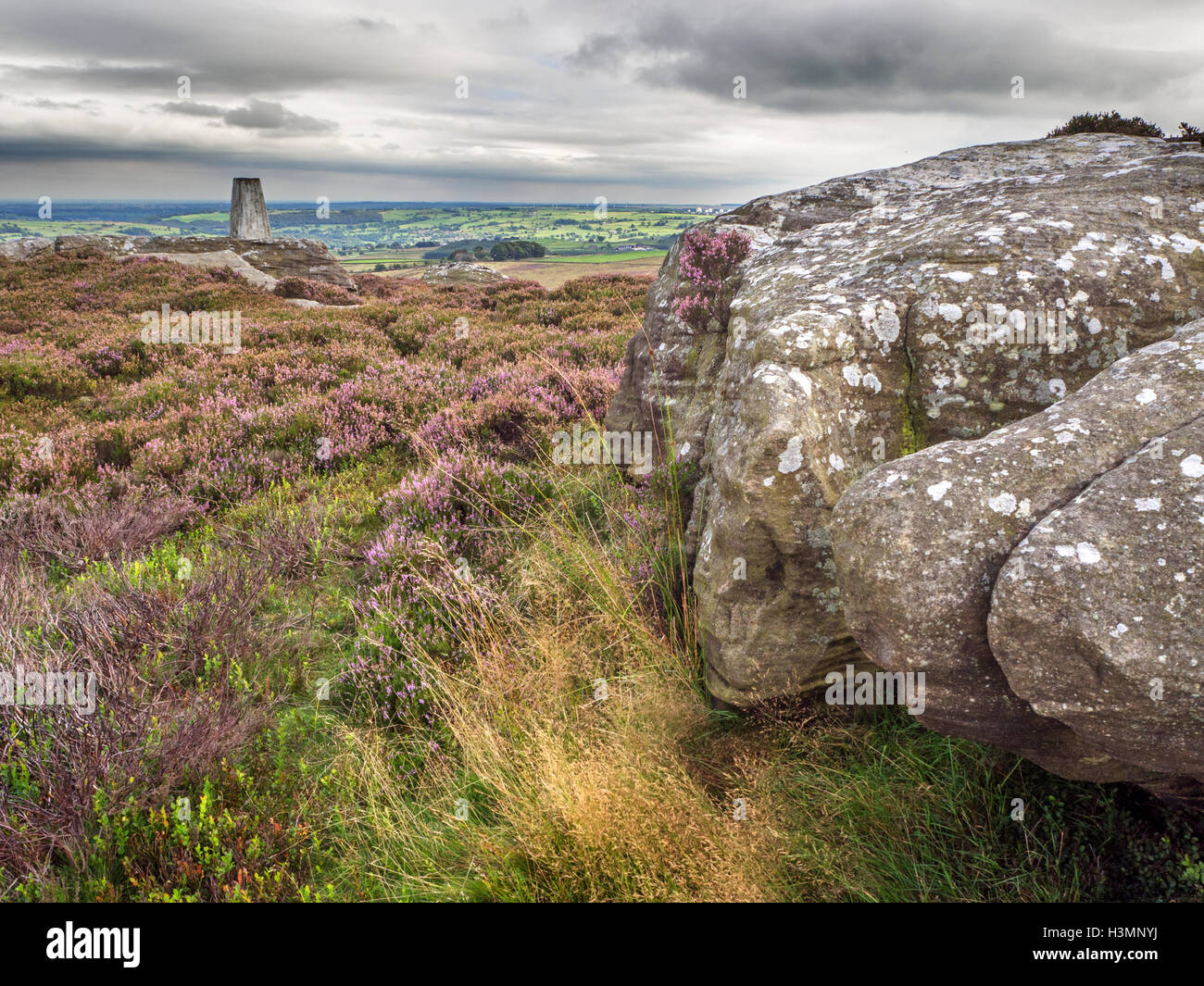 Trig Point de rocher de haute lande de bruyère Campsites Canet-en-Roussillon près de Nidderdale North Yorkshire Angleterre Banque D'Images