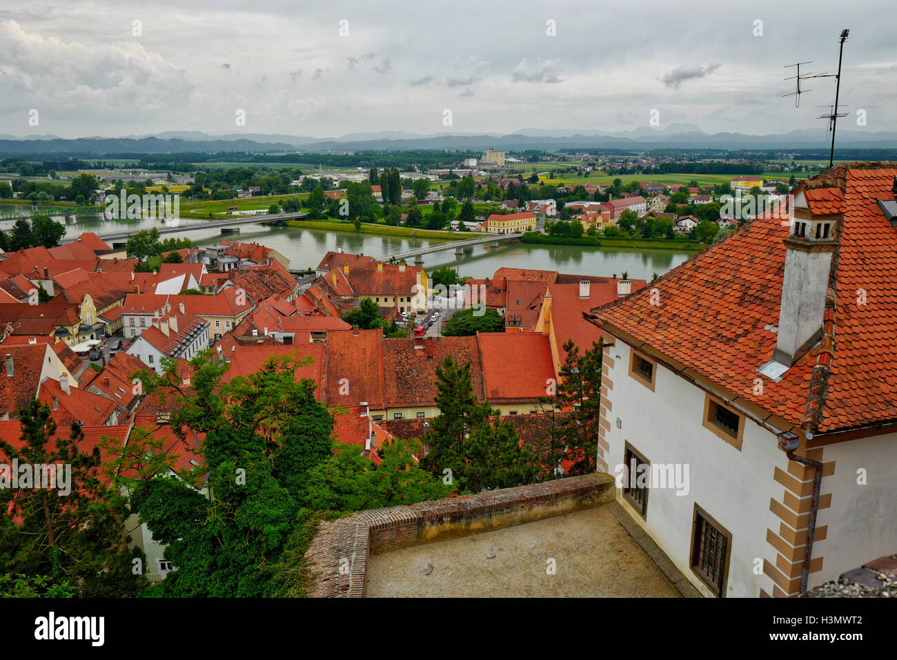 Vue sur les toits et dans la rivière Drava Ptuj, la Slovénie Banque D'Images