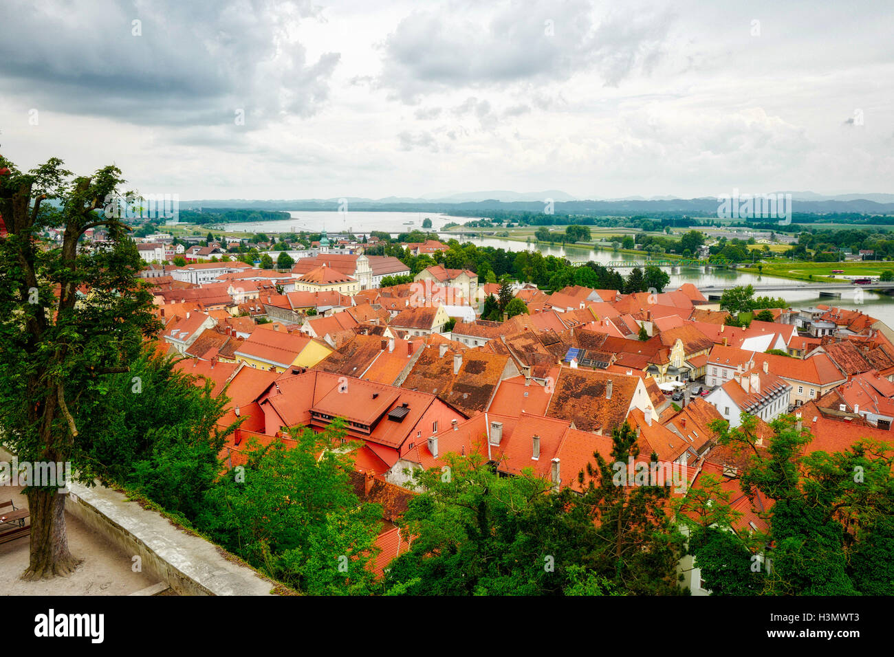 Vue sur les toits et dans la rivière Drava Ptuj, la Slovénie Banque D'Images