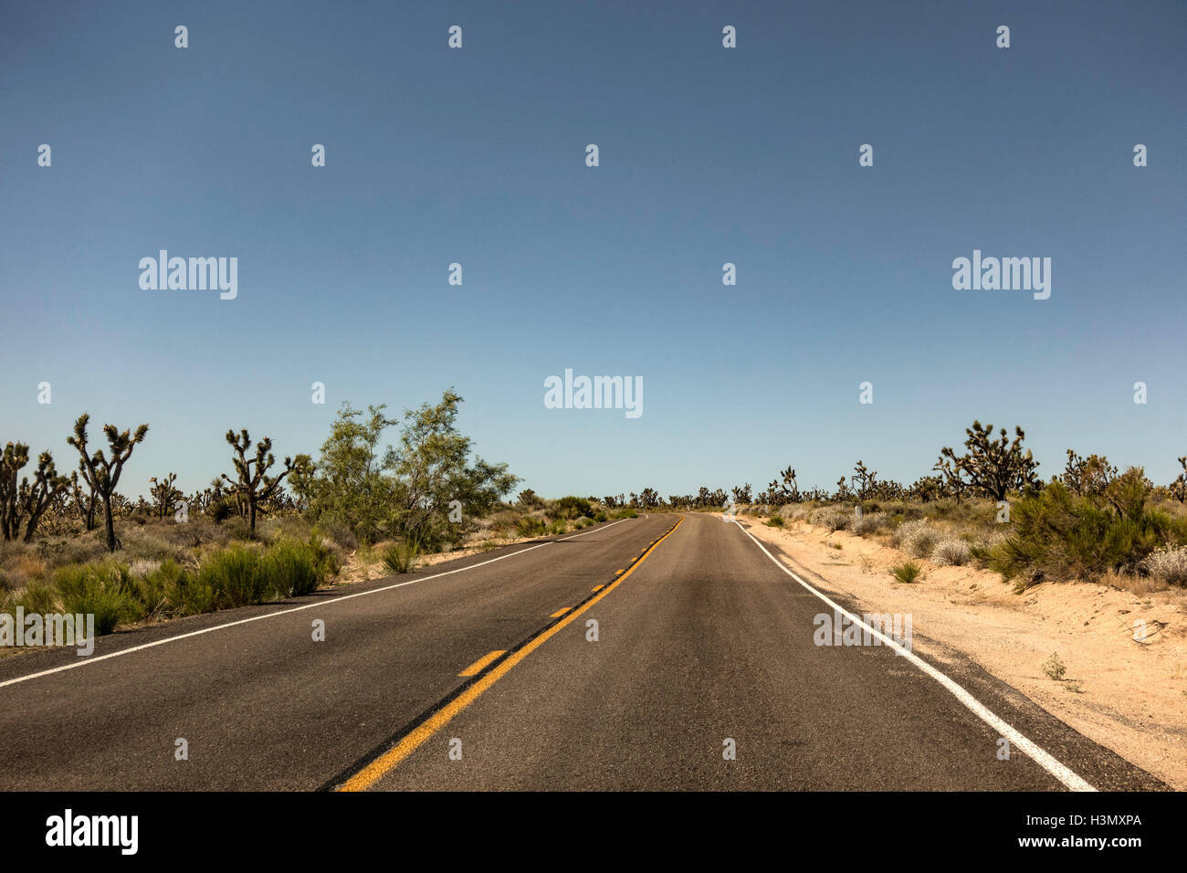 L'autoroute nationale sur les sentiers, Amboy, California, USA Banque D'Images