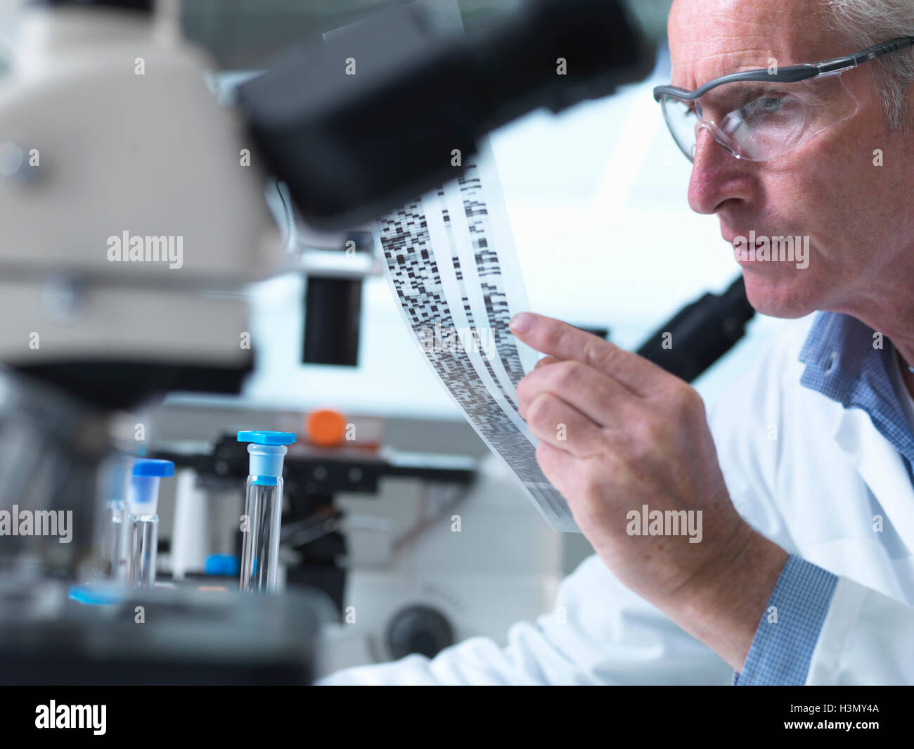 Chercheur titulaire d'un gel d'ADN au cours d'une expérience génétique dans un laboratoire Banque D'Images