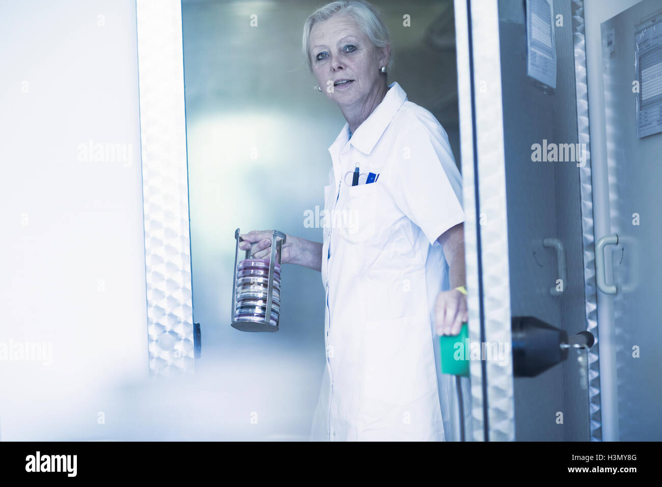 Réalisation scientifique rack avec petri in laboratory Banque D'Images