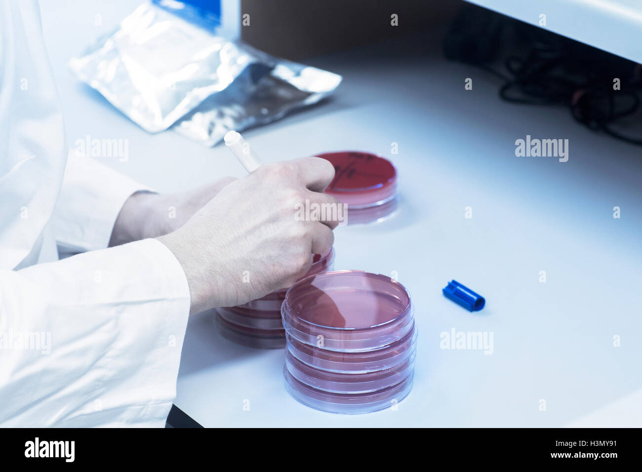 Notation scientifique pétri avec l'échantillon Banque D'Images