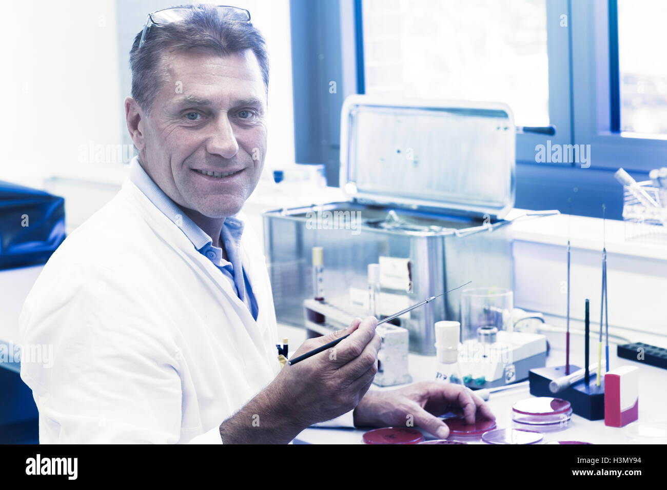 Scientist examining petri dans l'échantillon Banque D'Images