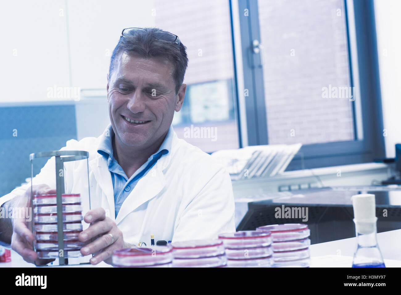 Organisation scientifique pétri dans le rack Banque D'Images