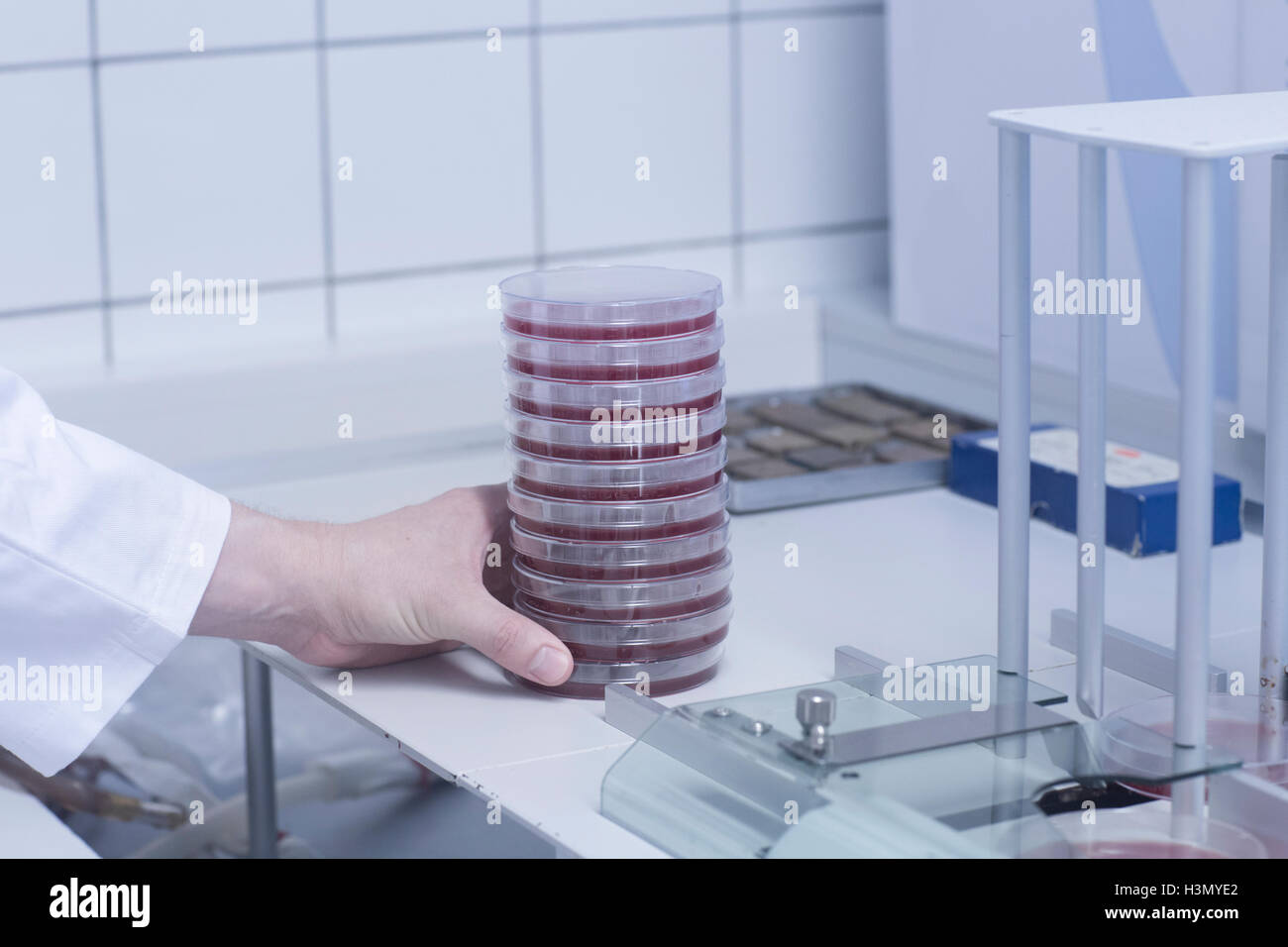 Boîte de Pétri avec l'organisation scientifique de l'échantillon pour l'essai Banque D'Images