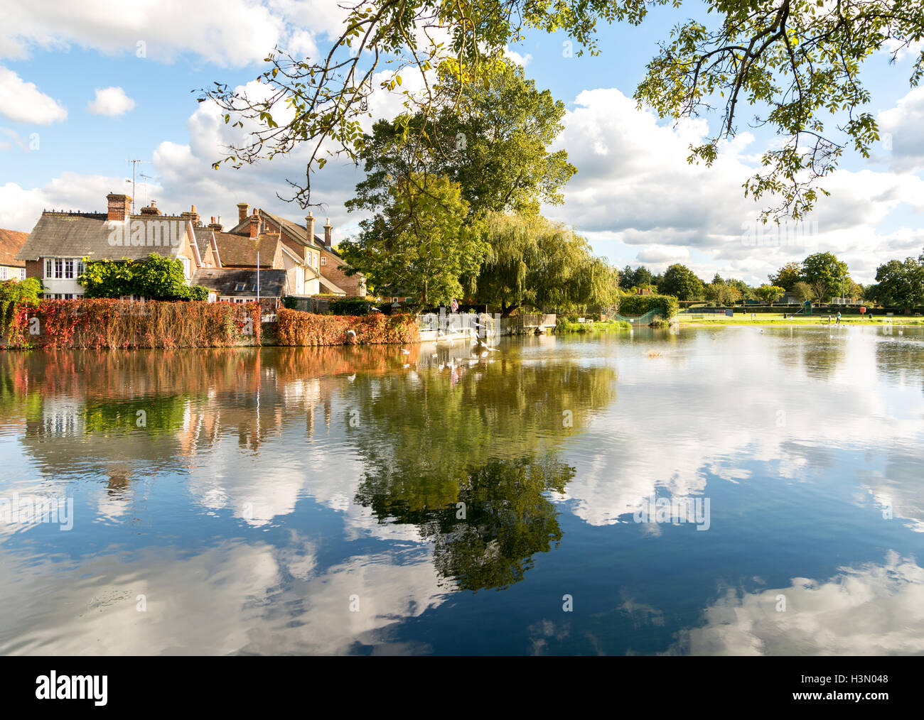 À la recherche de l'autre côté de la rivière Avon, du George pub à Fordingbridge, Hampshire, Royaume-Uni, sur un bel après-midi d'octobre. Banque D'Images