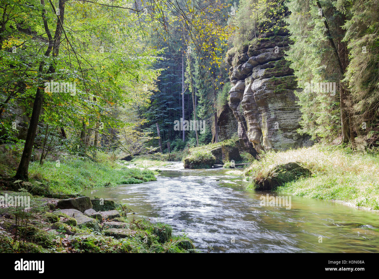 Gorge sauvage, Hrensko, Usti nad Labem, République Tchèque Banque D'Images