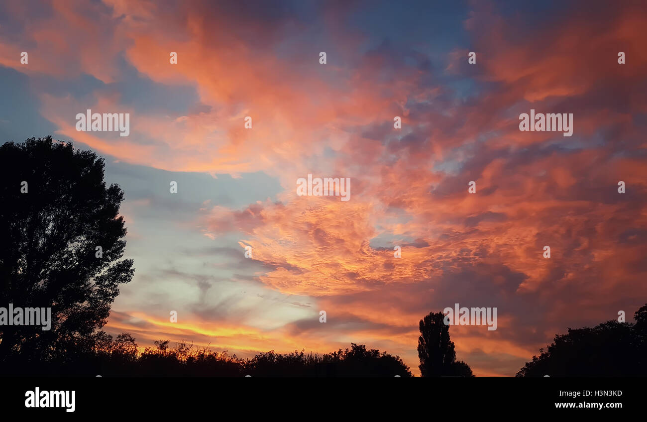 Magnifique coucher de soleil ciel avec des silhouettes d'arbres Banque D'Images