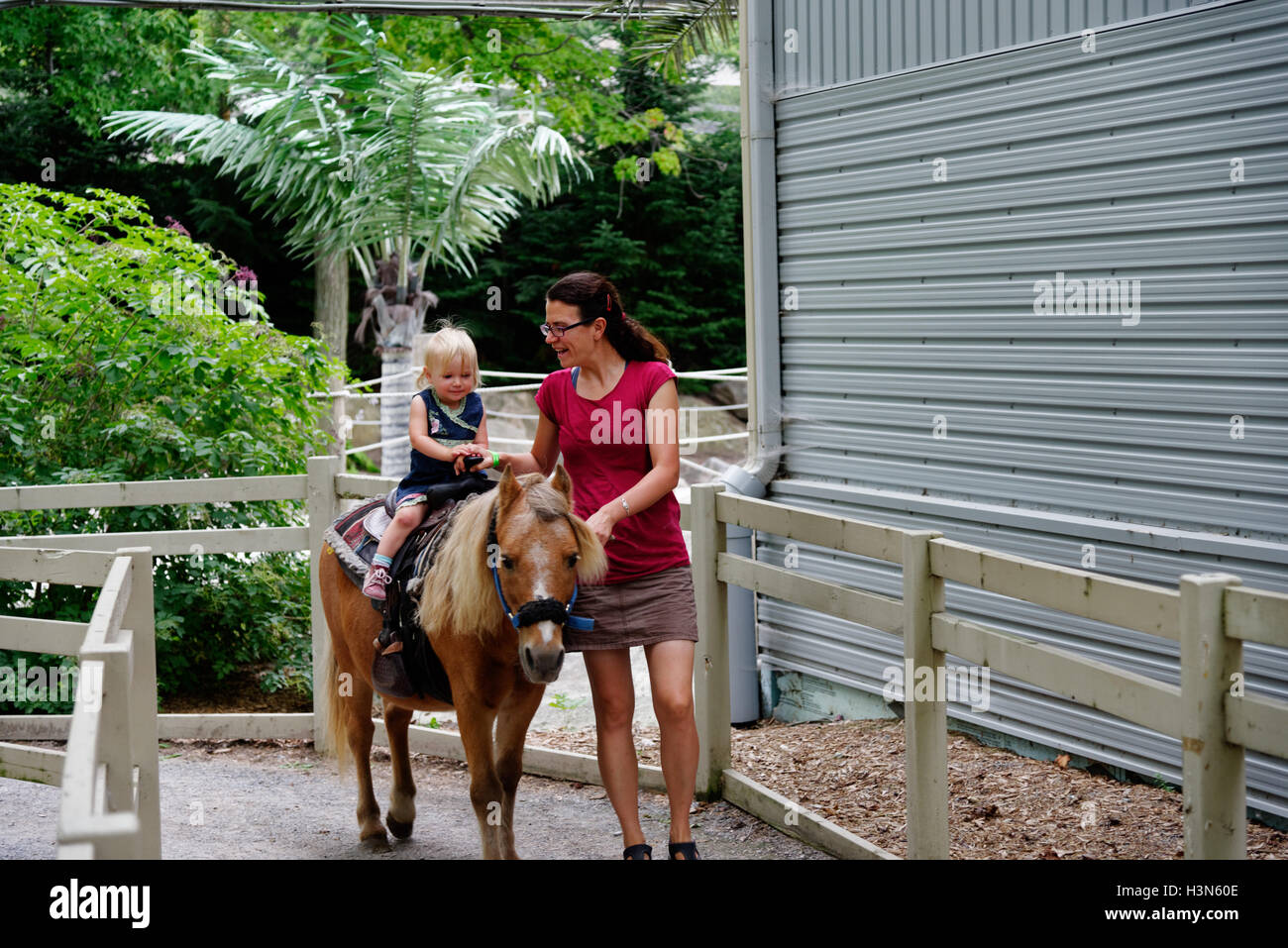 Fille nourrissant son cheval jouet à la maison Photo Stock - Alamy