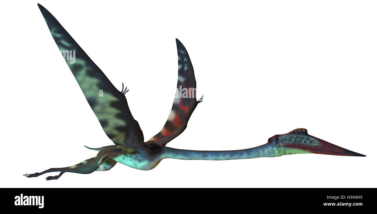 Quetzalcoatlus Profile Banque D'Images