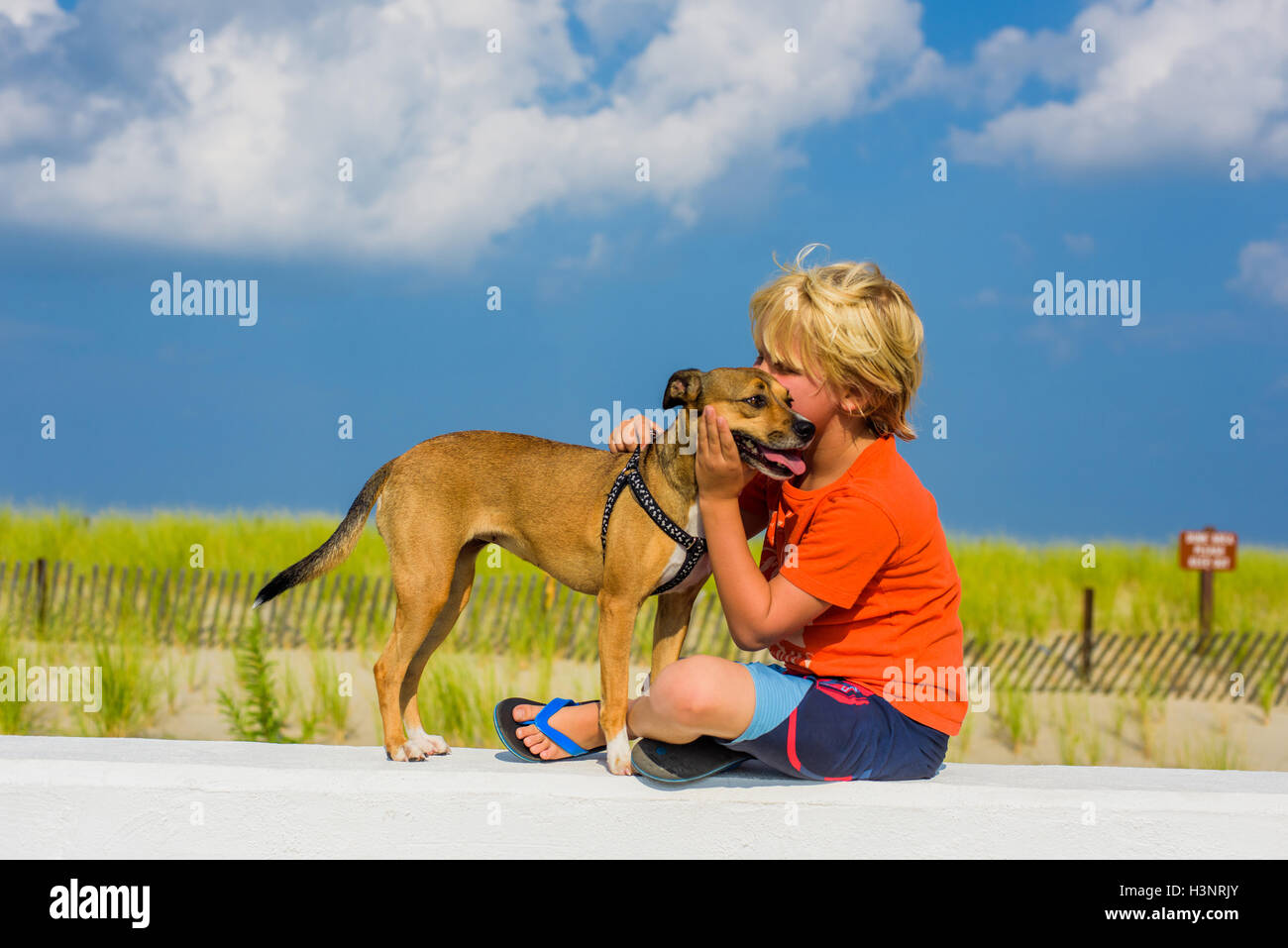 Jeune garçon à l'extérieur, serrant le chien Banque D'Images