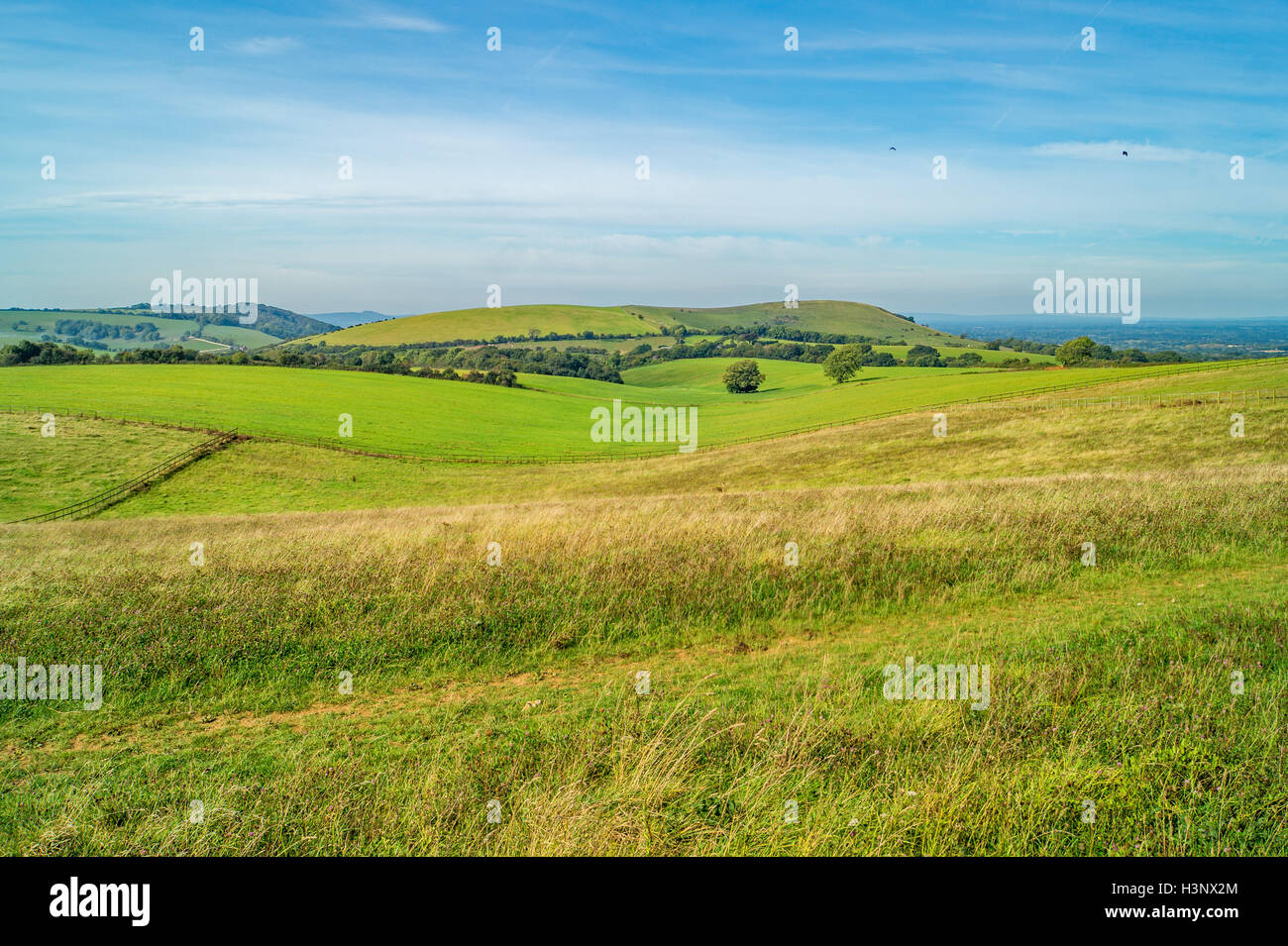 Les belles collines de la Sussex Downs en automne. Banque D'Images