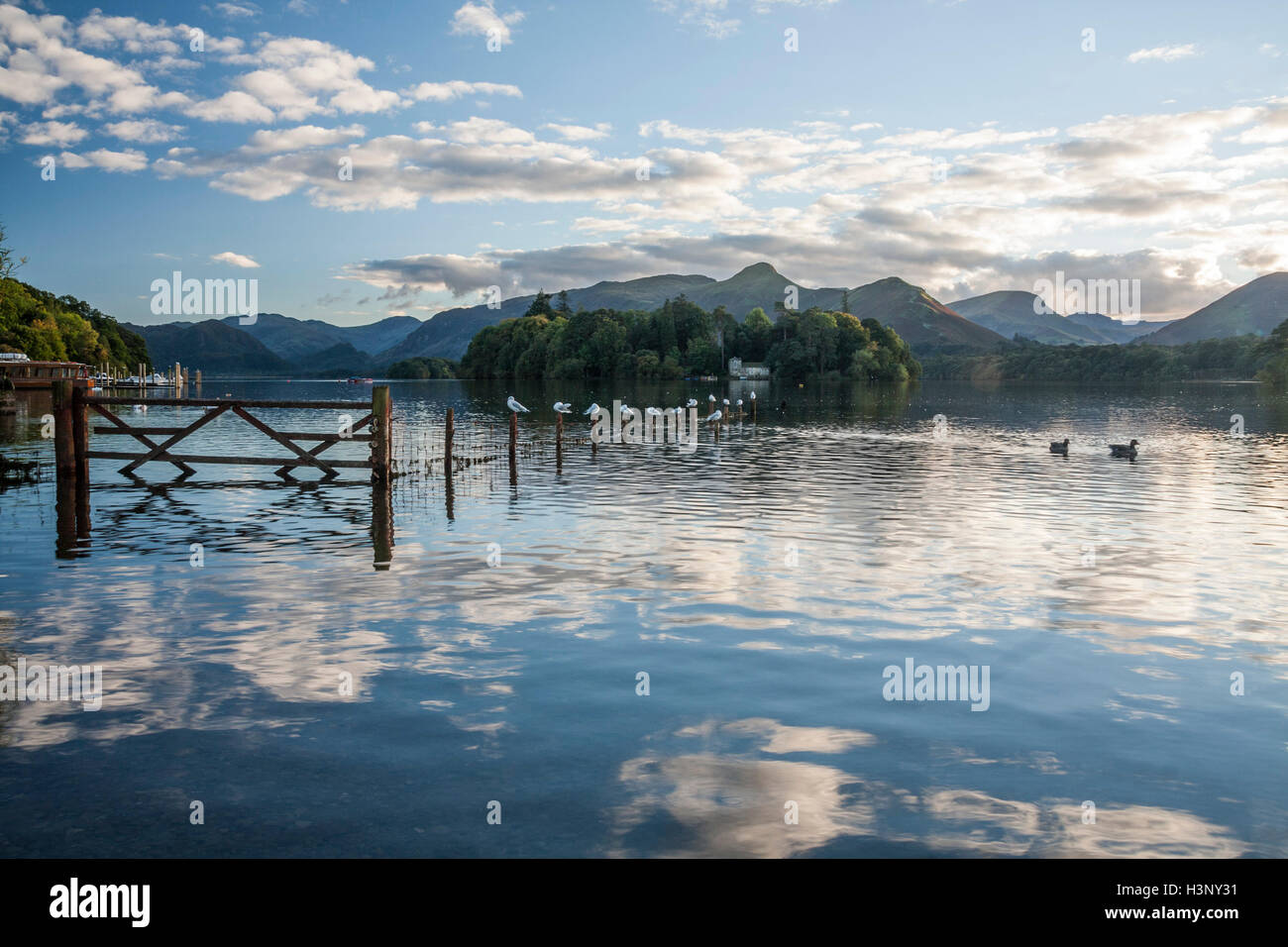 Derwentwater à Keswick dans le Parc National de Lake District, Cumbria, Angleterre montrant des reflets dans le lac Banque D'Images