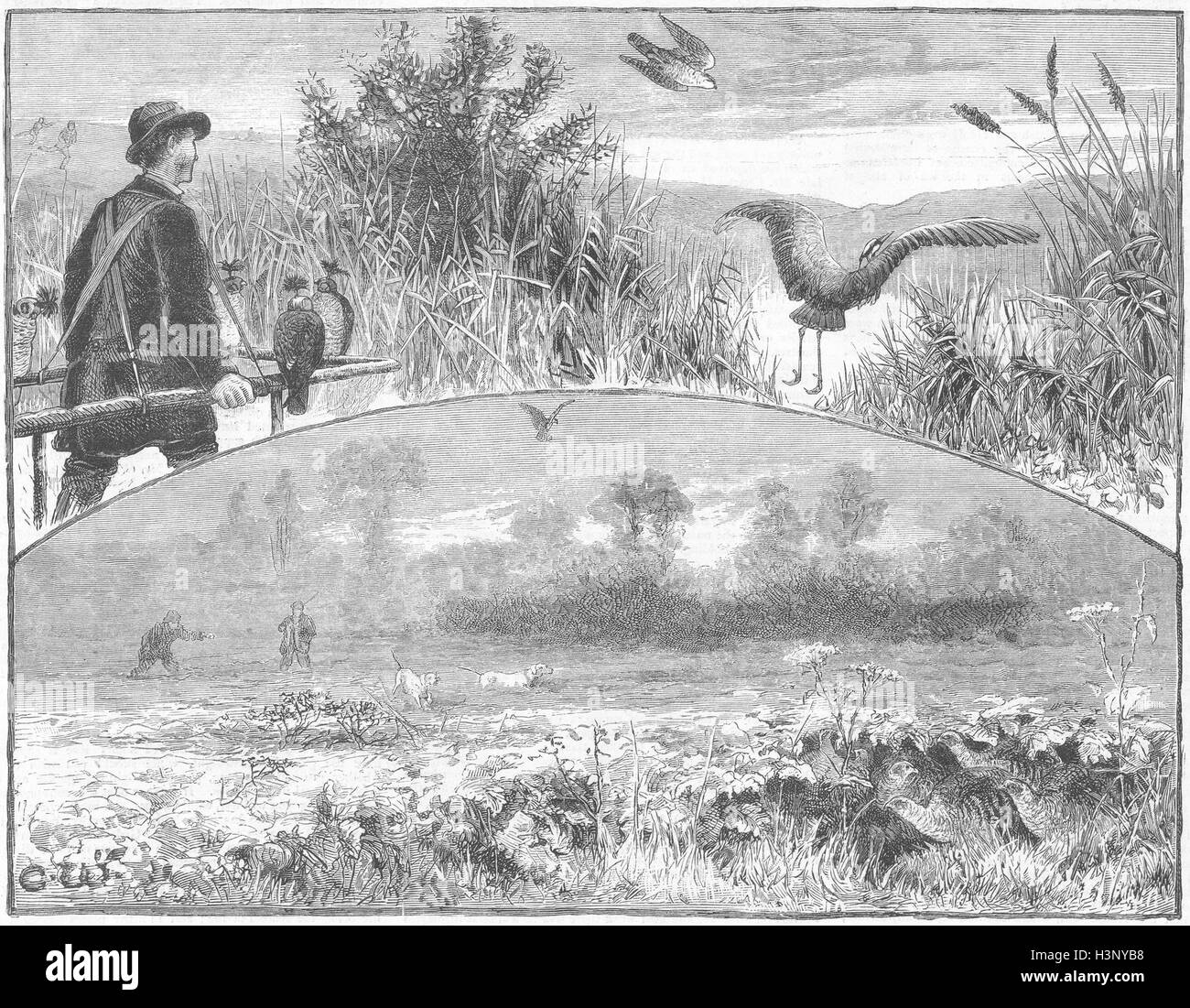 La fauconnerie en Angleterre 1 Hawking Heron ; 2 Jeu 1880. Le graphique Banque D'Images