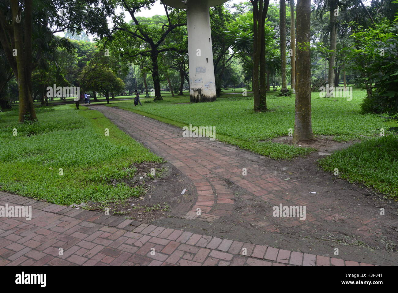 Citoyens bangladais marche dans les Ramna Park dans la ville de Dhaka au Bangladesh Banque D'Images