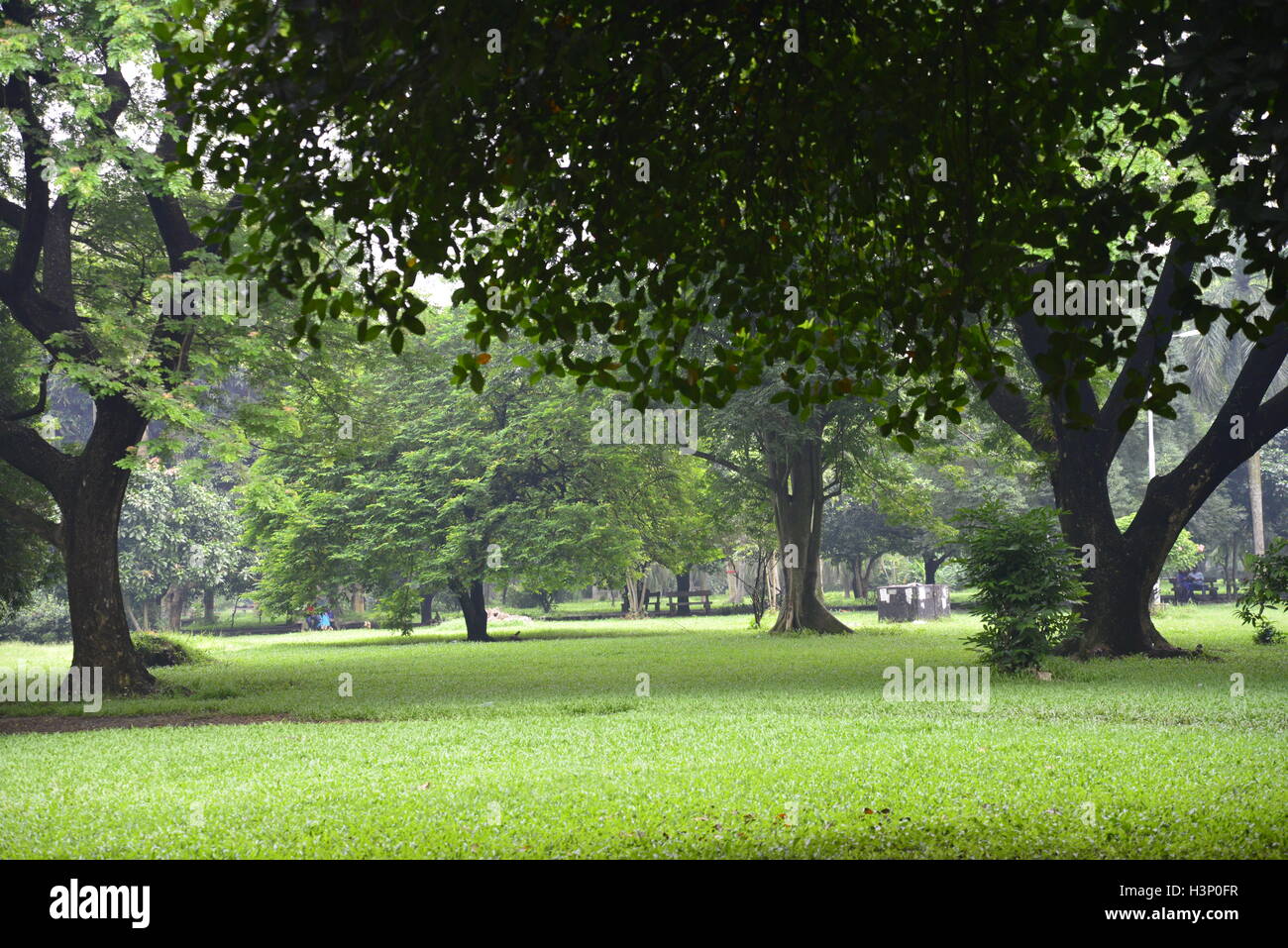 Citoyens bangladais marche dans les Ramna Park dans la ville de Dhaka au Bangladesh Banque D'Images