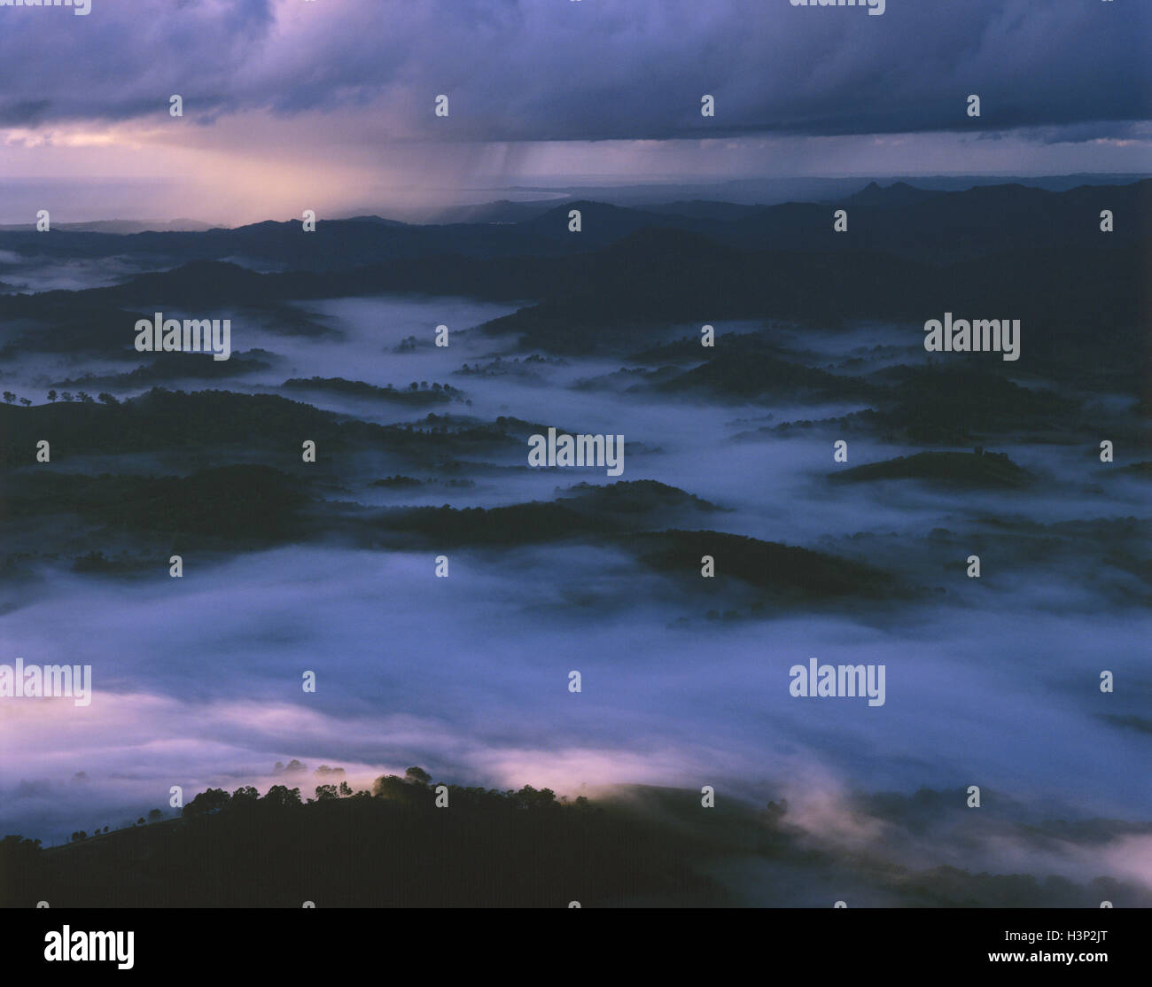 Les terres agricoles à l'est de Murwillumbah, Brouillard et nuages au lever du soleil. Banque D'Images