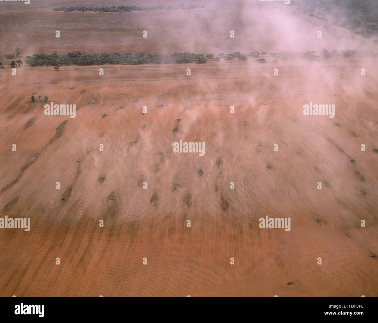 L'érosion de la couche arable du sol, soufflé par le vent. Banque D'Images