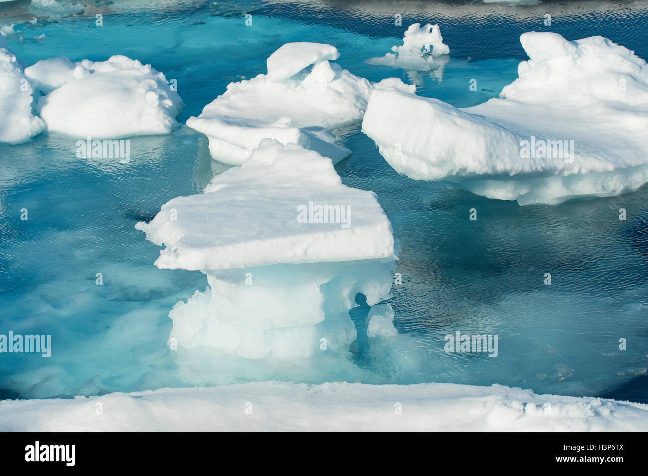 Pack de glace dans le Nord de l'Arctique près de Svalbard, Norvège Banque D'Images
