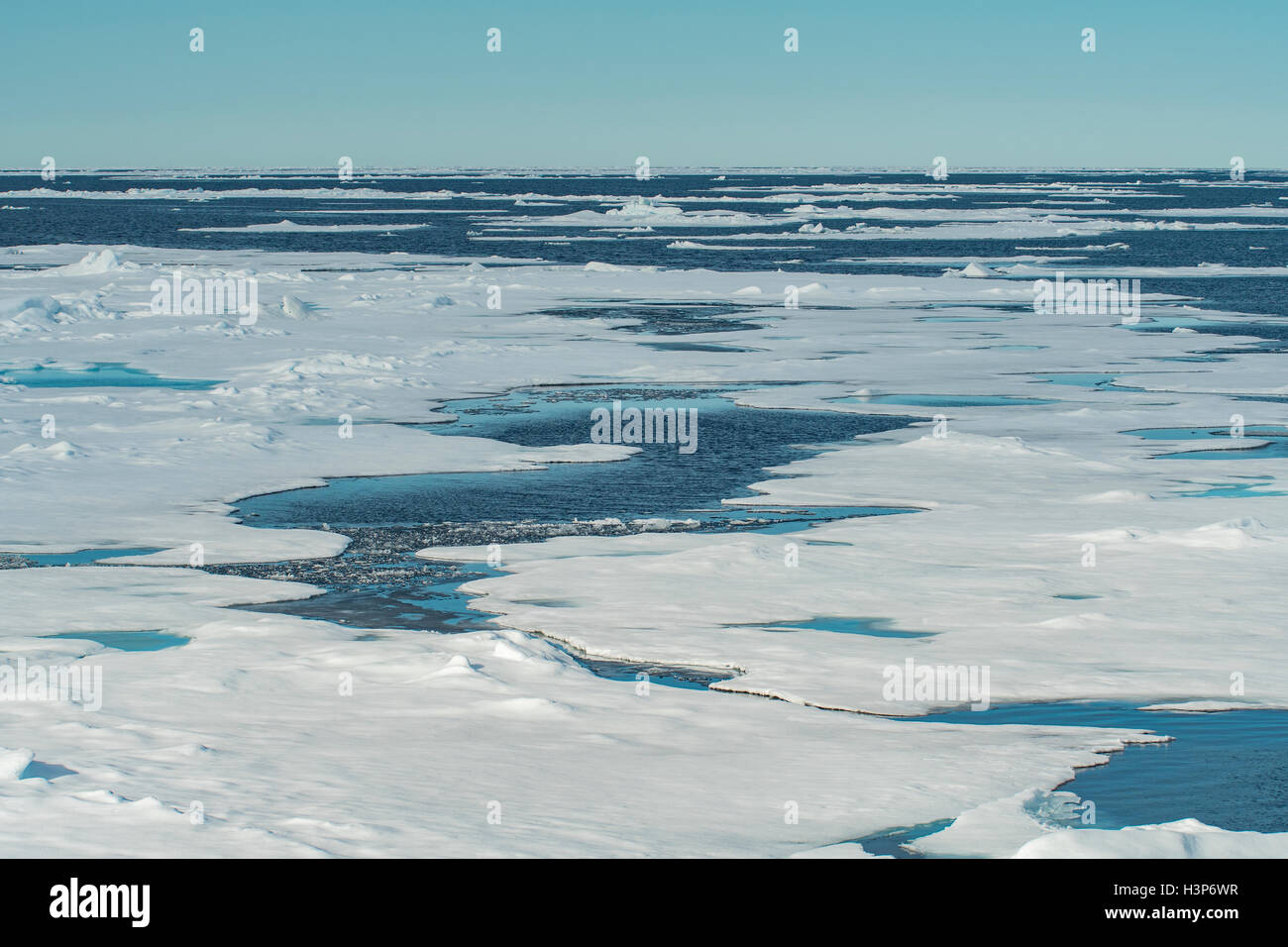 Pack de glace dans le Nord de l'Arctique près de Svalbard, Norvège Banque D'Images