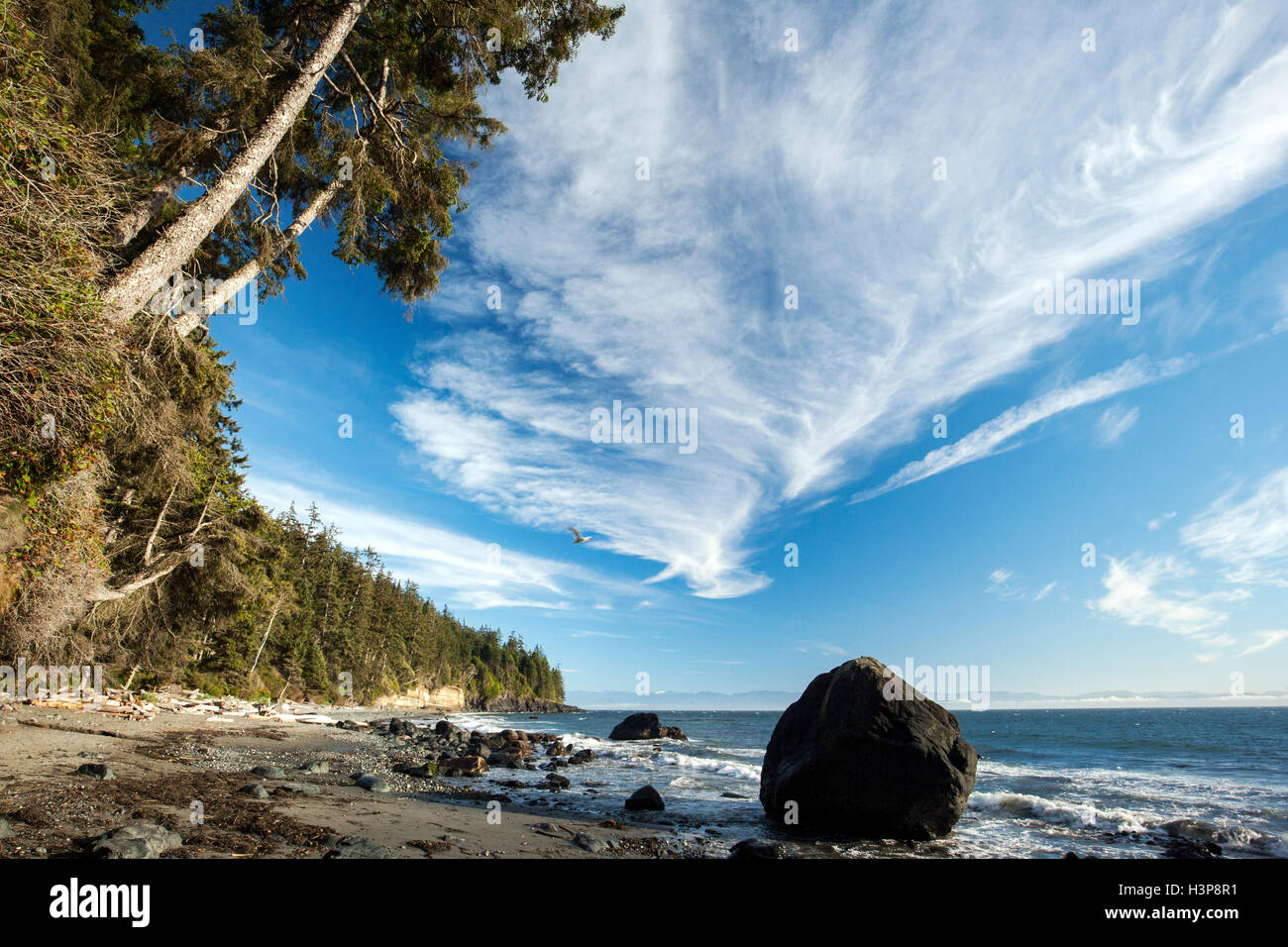 Mystic Beach, Sooke, île de Vancouver, Colombie-Britannique, Canada Banque D'Images