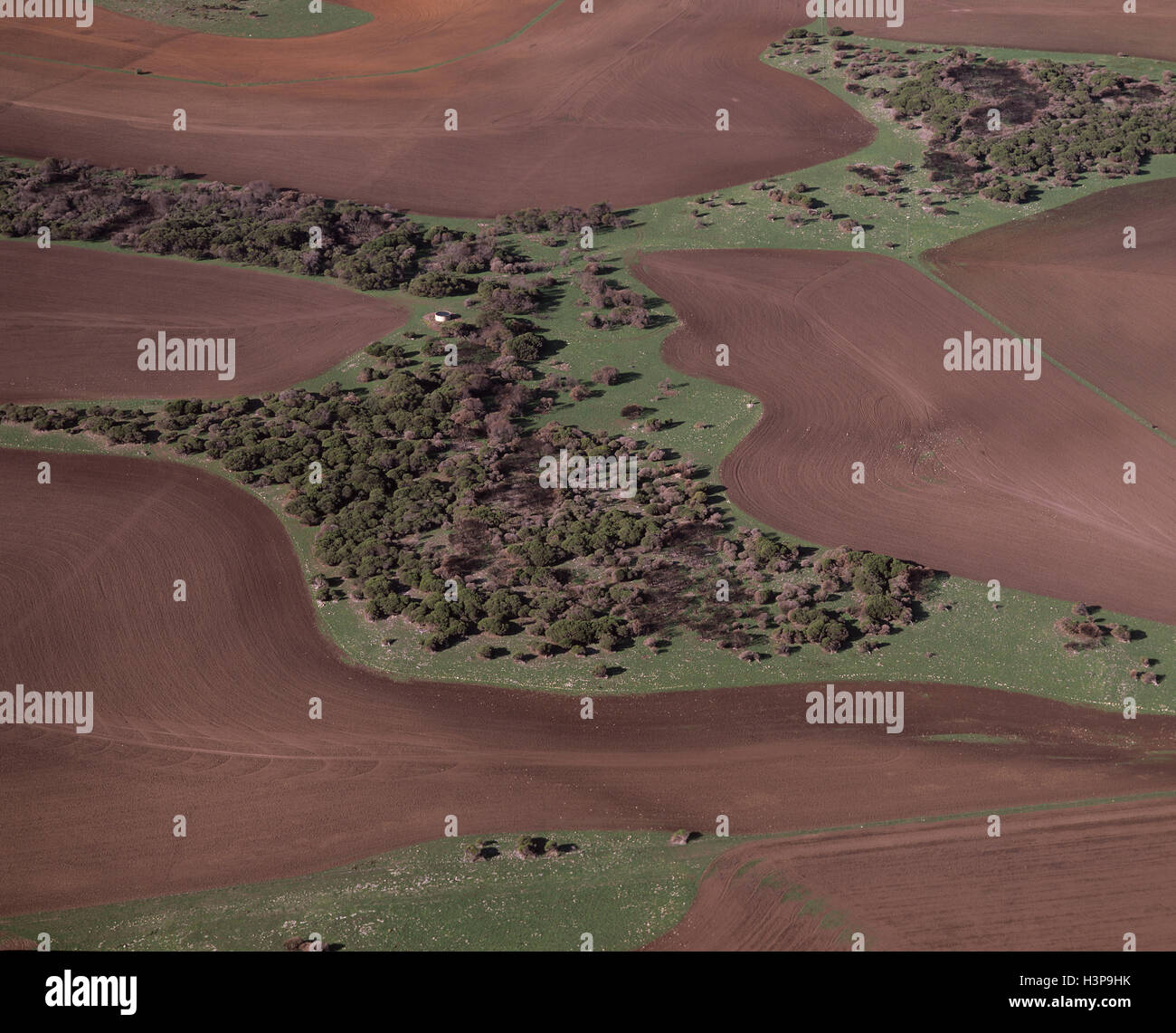 Des terres agricoles Banque D'Images