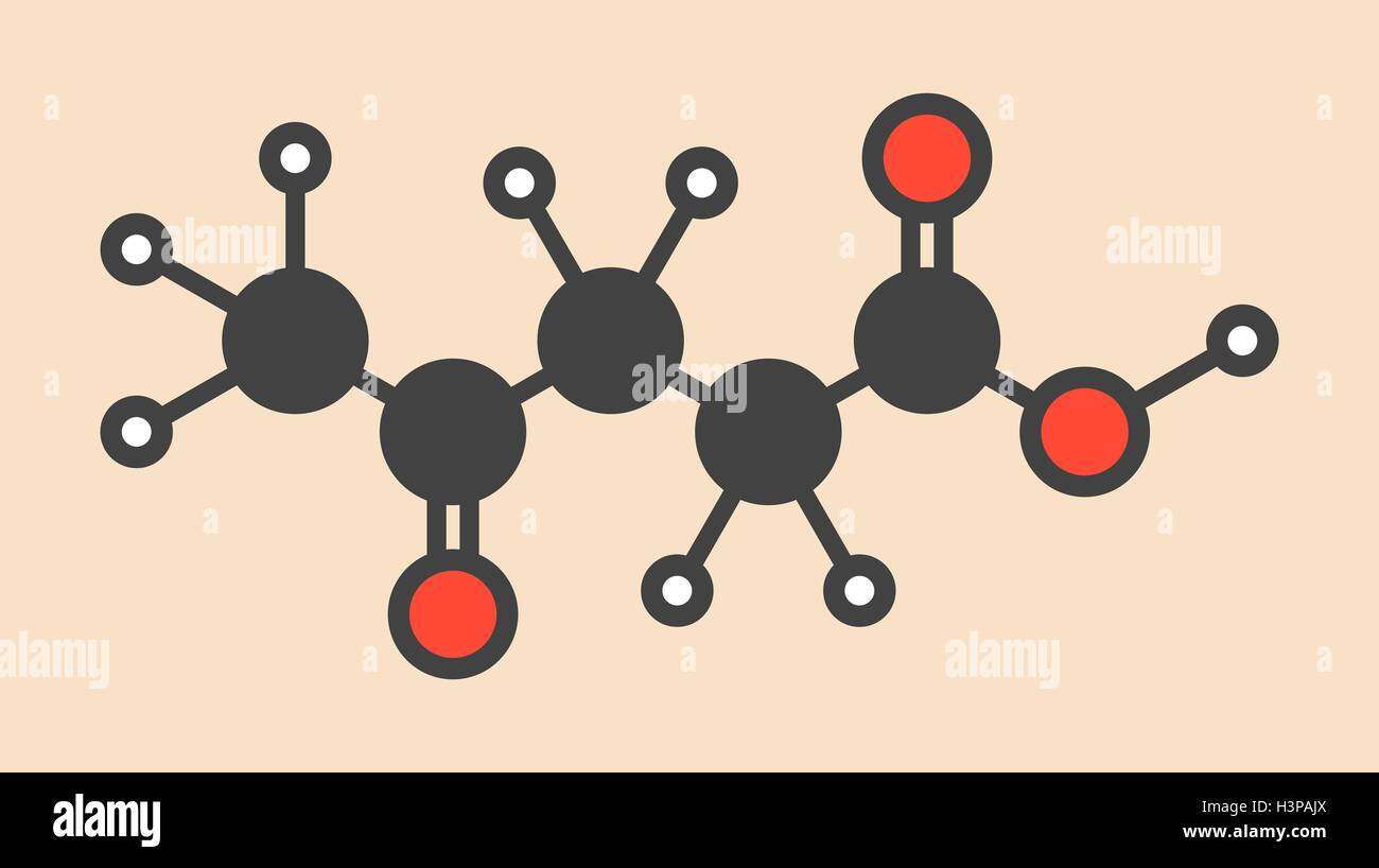 Molécule d'acide lévulinique. Faites par la dégradation de la cellulose, précurseur potentiel de biocarburants. Formule topologique stylisé (structure chimique). Les atomes sont représentés par des cercles de couleur : l'hydrogène (blanc), carbone (gris), l'oxygène (rouge). Banque D'Images