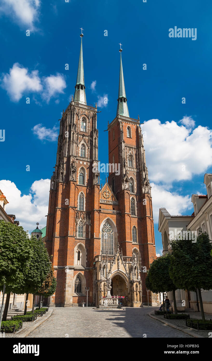 Cathédrale de Saint Jean Baptiste. Wroclaw. Pologne - 2 Banque D'Images