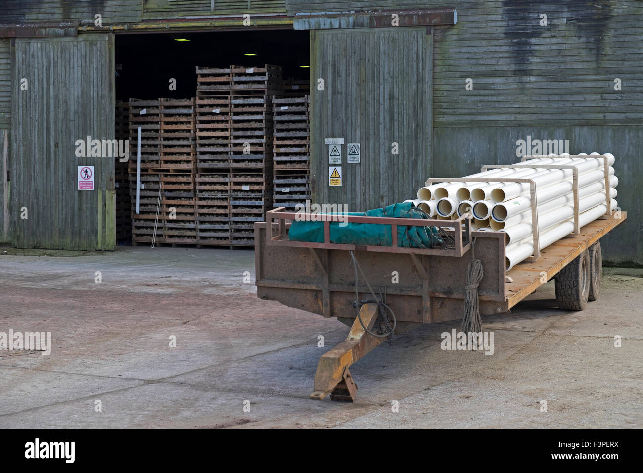 Les plants de pommes de terre en entreposage prêts pour la plantation, Boyton, Suffolk, UK. Banque D'Images