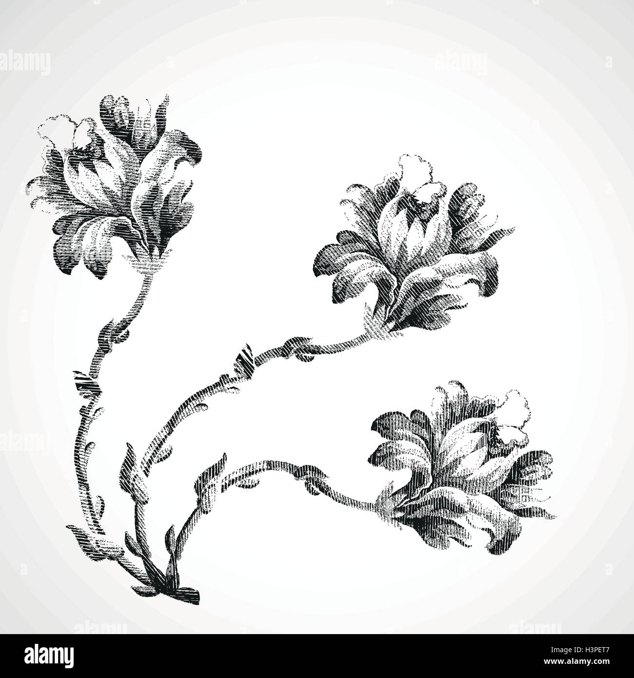 Hand drawn bouquet de trois fleurs de lis, vintage isolated background vector illustration croquis réalistes Illustration de Vecteur