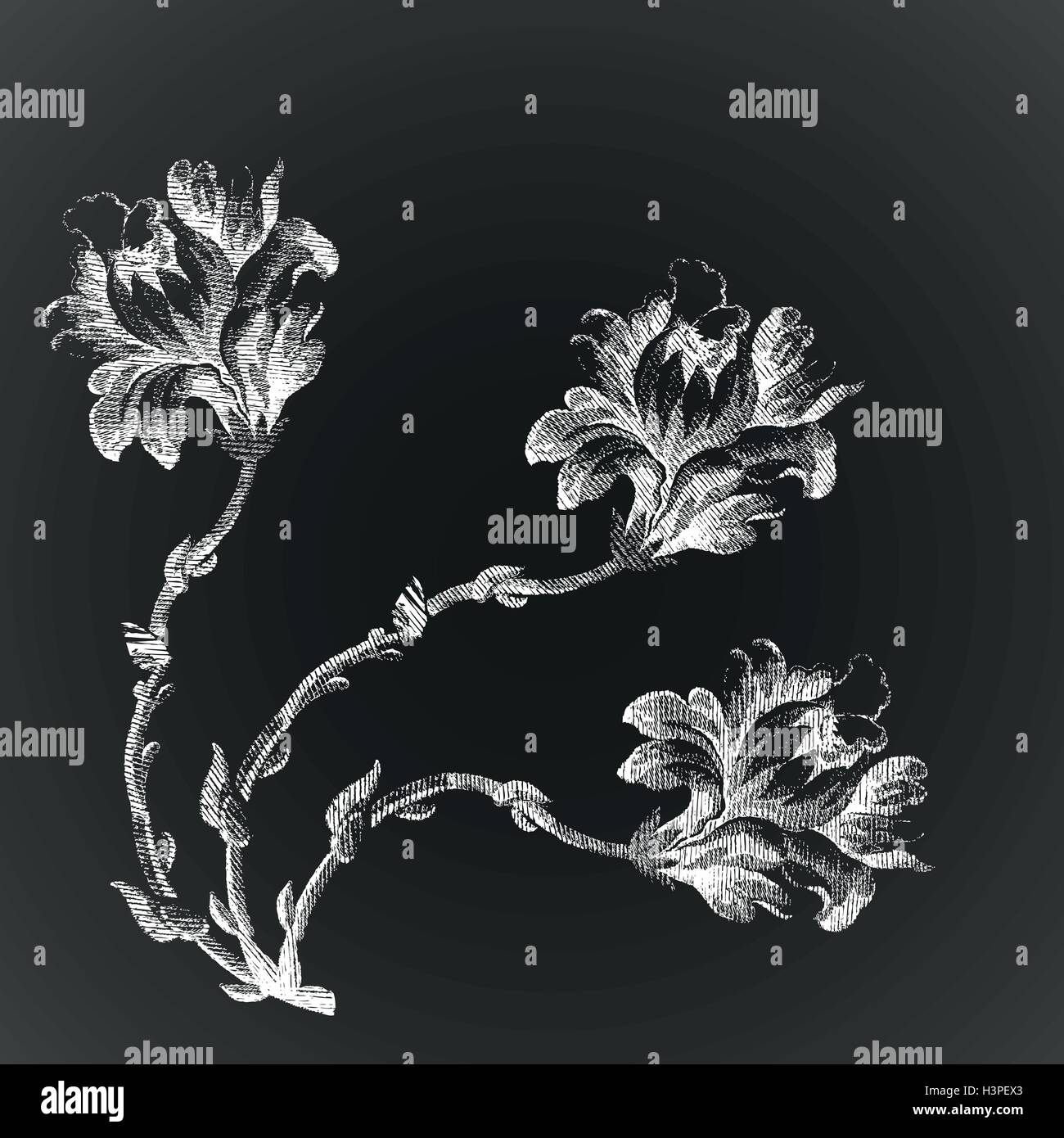 Bouquet de fleurs à la main vintage de Lily sur fond noir vector illustration croquis réalistes Illustration de Vecteur