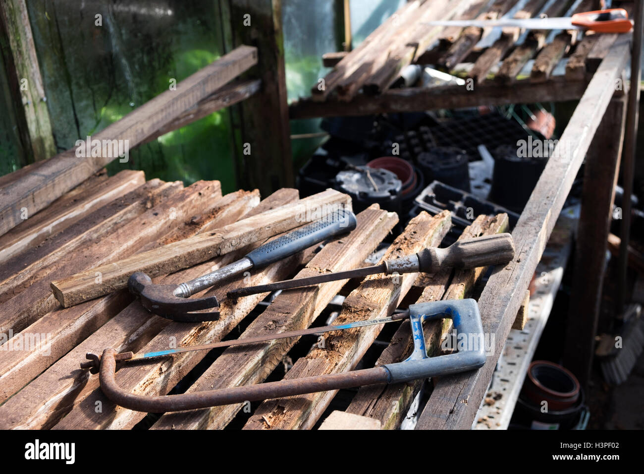 Réparation à réaliser à la mise en scène ou un banc dans une serre Banque D'Images