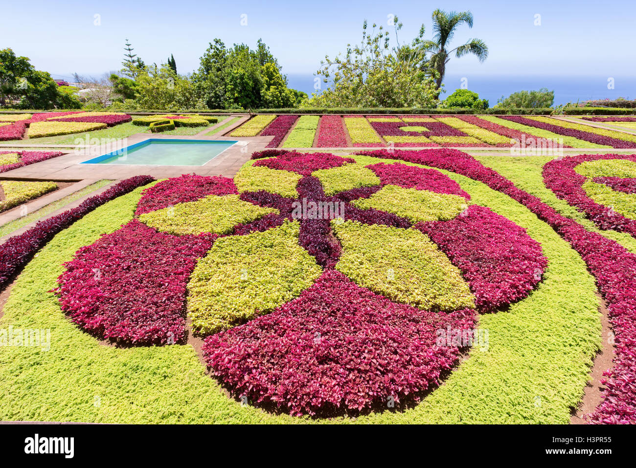 Beaux motifs colorés et formes des plantes dans le jardin botanique de portugais Banque D'Images