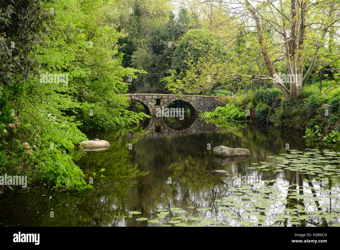 Pont en arc de pierre reflète parfaitement encadrée cadre arbre branche conifer étang lake altamont gardens Carlow Floral RM Banque D'Images