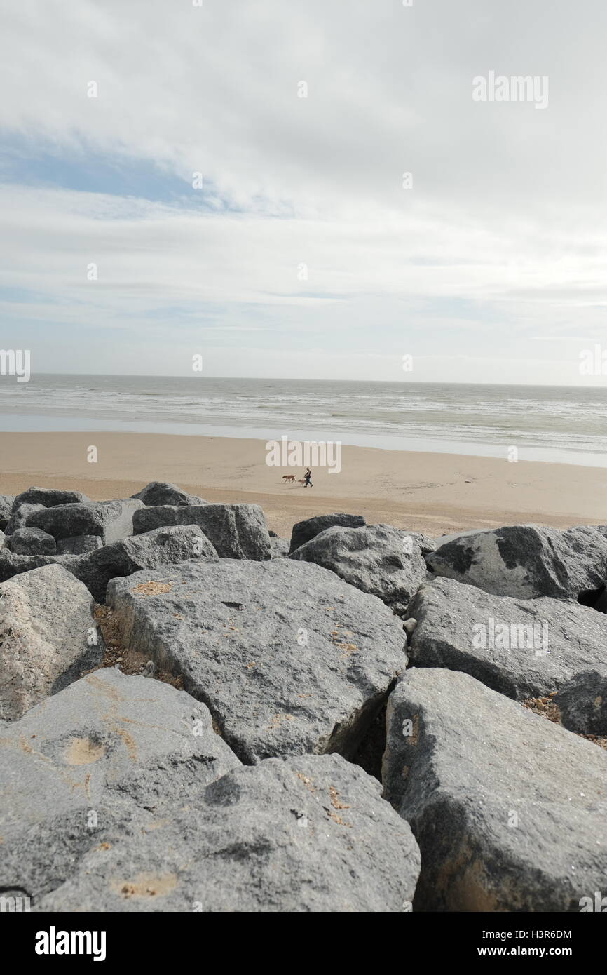 La marche des chiens sur Camber Sands Angleterre Kent UK Banque D'Images