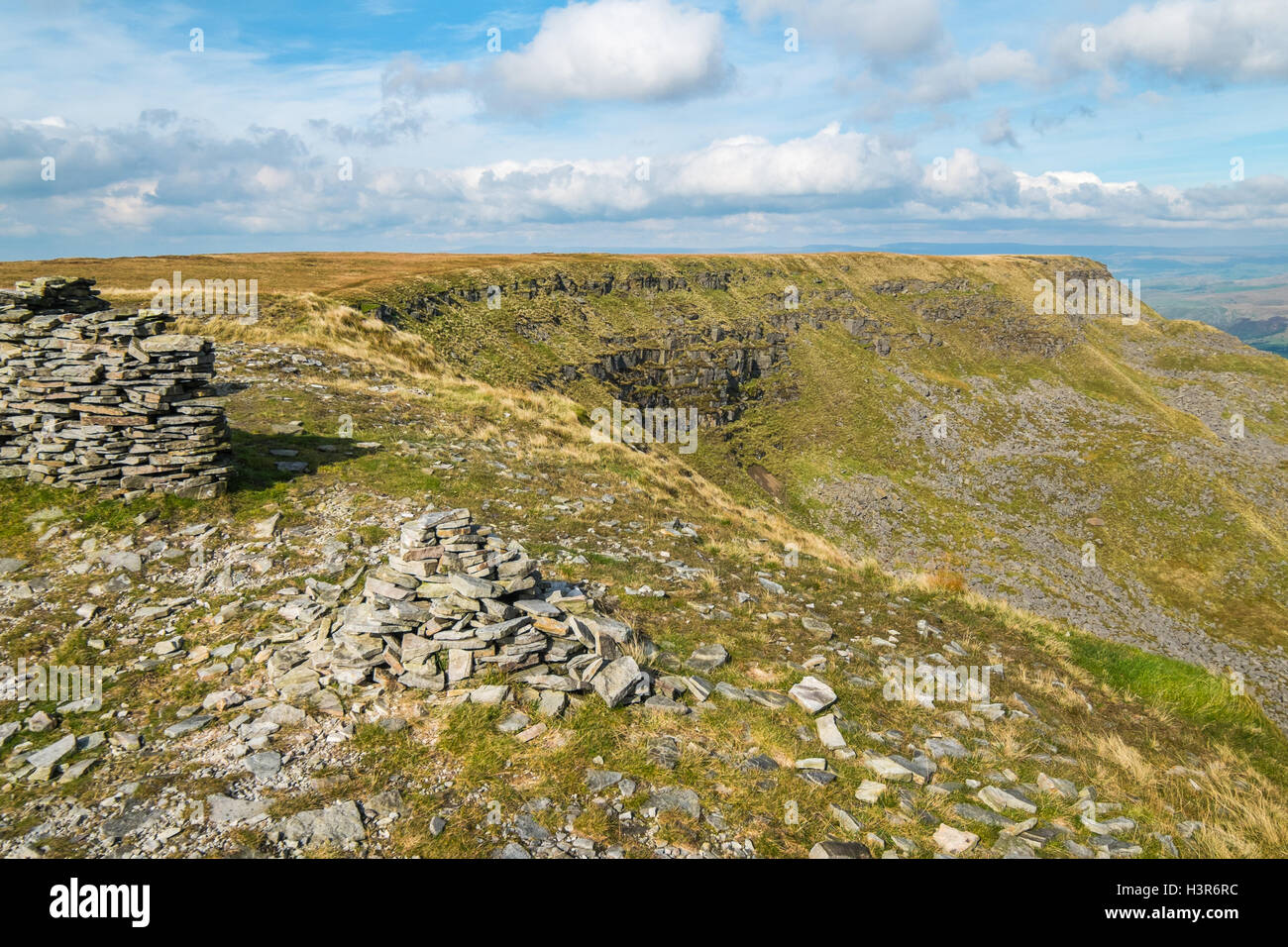 Le sanglier est tombé,, dans le Mallerstang Yorkshire Dales Banque D'Images