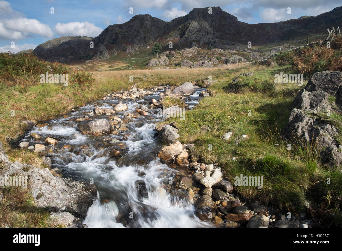 Beck dans le Tarn vallée Duddon, Lake District, Cumbria, Angleterre Banque D'Images