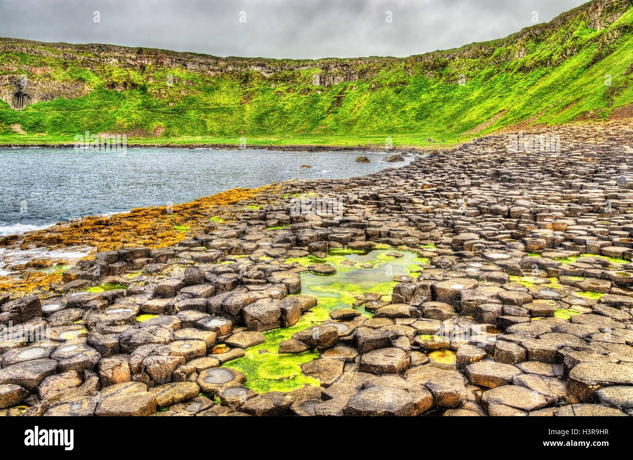 Vue de la Giant's Causeway, un site du patrimoine de l'UNESCO en Irlande du Nord Banque D'Images