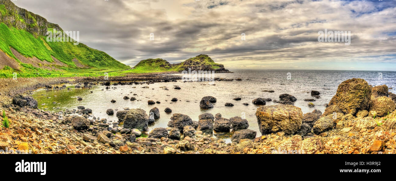 Vue de la Giant's Causeway, un site du patrimoine de l'UNESCO en Irlande du Nord Banque D'Images