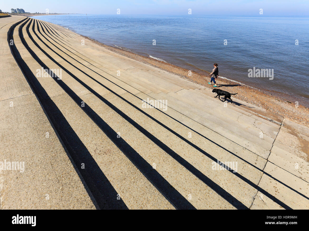 Femme d'âge moyen et les animaux chien labrador noir marcher à côté de la mer à Norfolk, au Royaume-Uni. Banque D'Images