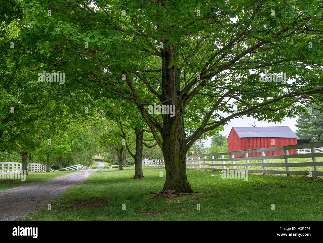 Harrodsburg, Kentucky : vue sur le Shaker Village de Pleasant Hill Banque D'Images