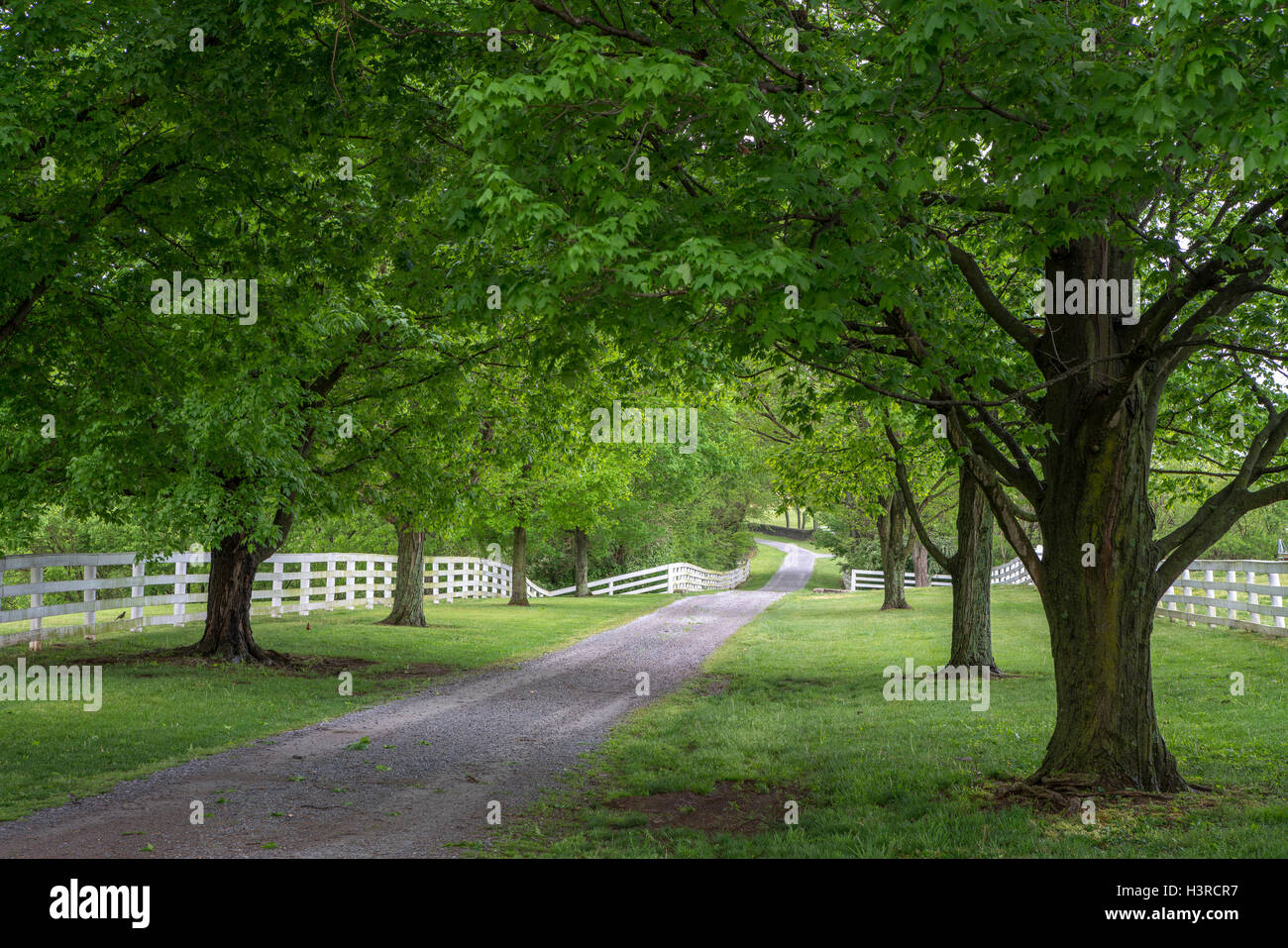 Harrodsburg, Kentucky : vue sur le Shaker Village de Pleasant Hill Banque D'Images