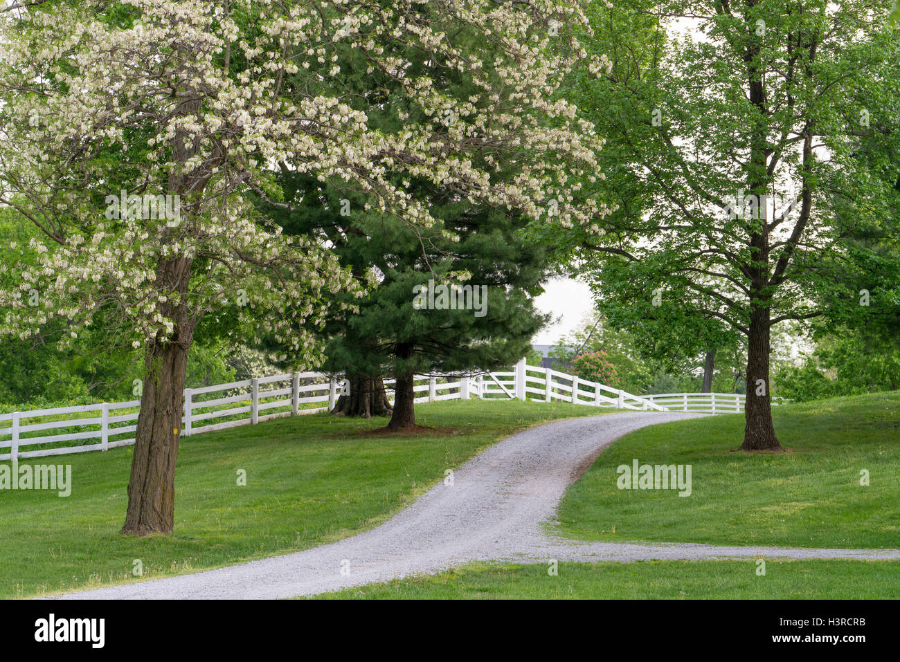 Harrodsburg, Kentucky : vue sur le Shaker Village de Pleasant Hill Banque D'Images