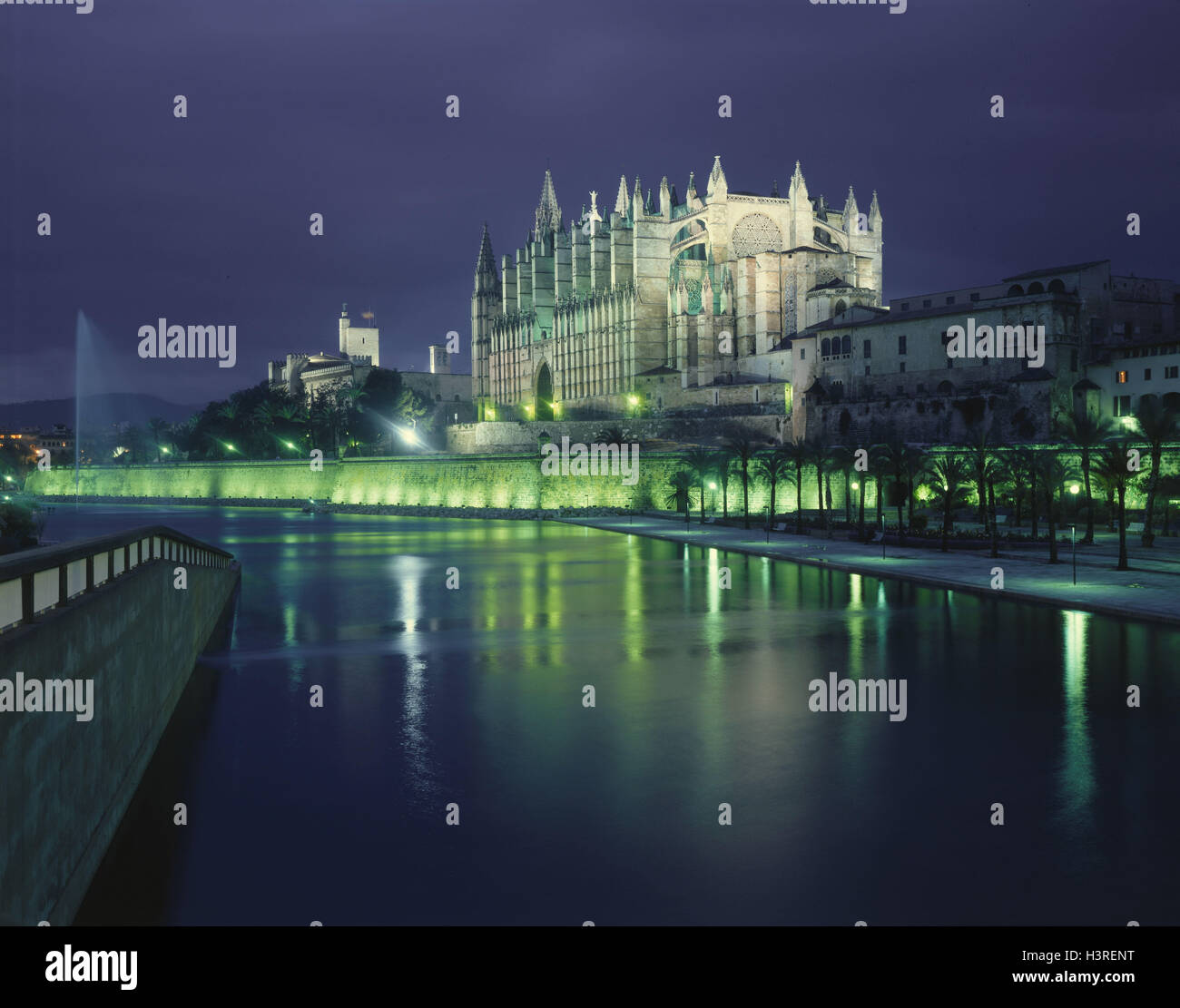 Espagne, Majorque, Palma, la cathédrale de nuit, l'Europe, une rivière, un soir de l'humeur, palmiers, à l'extérieur Banque D'Images